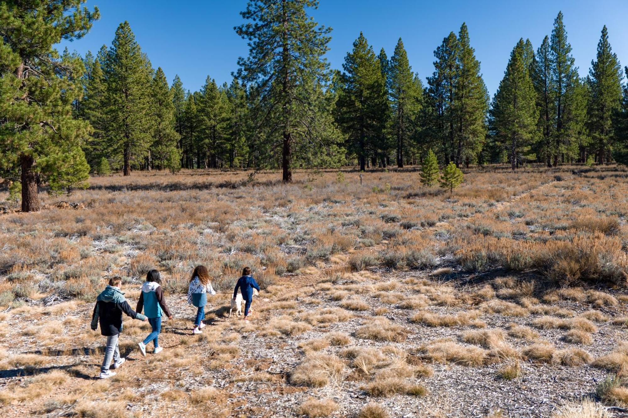 The Cottages - Golf, Pool, Play - 3-Bedroom Truckee Eksteriør bilde